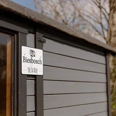 De La Rue Pipowagens * Sleeuwijk