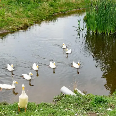 De La Rue Pipowagens Kamp alanı